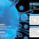 동림축산 이미지