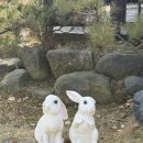 전주 카페 추천｜휴앤다담카페 방문 기록
