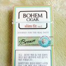 브라운 핏 (BROWN FIT)