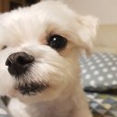 재영동물병원 이미지