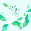 캘리그라피글꼴