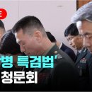 파장군