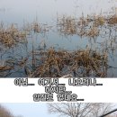 은파낚시