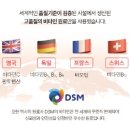 만성인셀덤