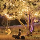 로맨틱 제주 이미지