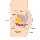 WR(서울특별시 양천구)-[지양로]-하-2 | 리베필라테스)) 양천구 필라테스, 신월동 필라테스 - 산전 산후 필라테스 언제하는게 좋을까요?