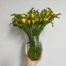 아을 | [추천] 유스풀몰 - 생화택배 내돈내산 찐 만족후기