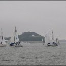 조개몽땅 이미지