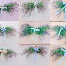 플로리스트&생활원예 이미지