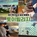 게코빌리지 | 대구 혁신도시 아이와 가볼만한곳 토이빌리지 실내동물원