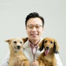 야탑서울동물병원 이미지