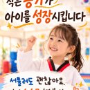 용인대삼성태권도 이미지