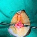 남산동물병원 이미지