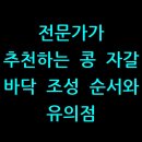 전문가가 추천하는 콩 자갈 바닥 조성 순서와 유의점