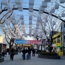 애경부침 이미지