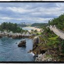 샛바람길 이미지