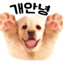 정재광복싱클럽 이미지