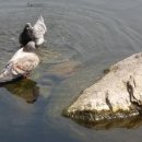 소풍(부천터미널) 이미지