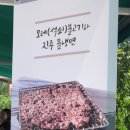 더웨이닝커피 사천점 이미지