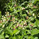 가대 농장 이미지