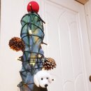 석주농장 이미지