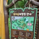 경상남도수목원 유아숲체험원 이미지