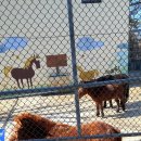 아시아레이크사이드호텔 이미지