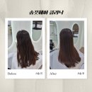 지에스더프레시인천마장점 | ㅣ인천ㅣ손상모 클리닉 + 레이어드컷 맛집 :: 구월동 '솜끗헤어' 후기, 위치, 가격, 이벤트 정보