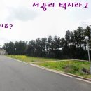 서광리-25 네이버블로그