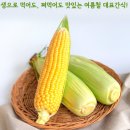 브라이튼미