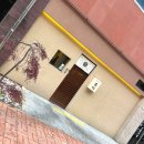 완주군립 콩쥐팥쥐도서관 | 전주 혁신도시 맛집 돈카츠흑심 전주혁신점 - 실패 없는 돈까스 조합 추천 #4