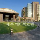 가자룸라이브 | 제주 해비치호텔 이그제큐티브 오션뷰 - 수영장 트윈풀, 섬모라 조식뷔페 후기