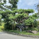 장성중학교 | 경기도 골프장 후기: 2025년 10년차 골퍼의 써닝포인트CC, 비에비스타CC, 청평마이다스cc 리얼 라운드...