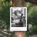 오수 펫 추모공원 이미지