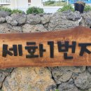 세화1번지