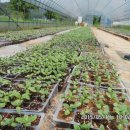 백천민박 이미지