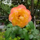 행정(허가) 심판 전문 행정사 사무소 이미지