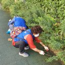 뽑기정류장 이미지