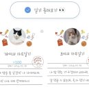 인앤펫 | 고양이 자동급식기 바램펫 밀리 사료통 교체 후기 알갱이 활용 꿀팁