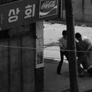 영비디오 이미지