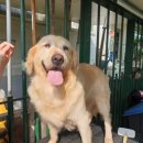 코코목욕 이미지