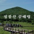 곰배령이야 이미지