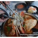 부산까치놀 이미지