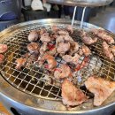 숯불 돼지 닭 이미지