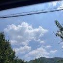 별을 담은 숲 이미지