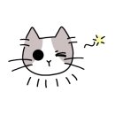 네모네모 정육식당 이미지