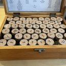 티움(Tea-um) 이미지