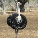 제이엔농장 이미지