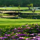 렉스필드 컨트리클럽 이미지