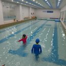 아쿠아키즈 이미지